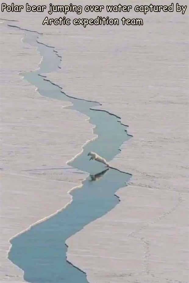 Interesting Pictures with Captions #168 (20 photos)