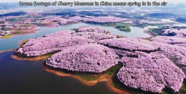 Interesting Pictures with Captions #166 (23 photos)