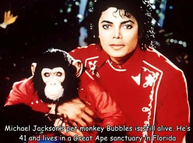 Interesting Pictures with Captions #168 (20 photos)