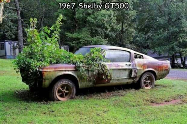 Interesting Pictures with Captions #167 (21 photos)