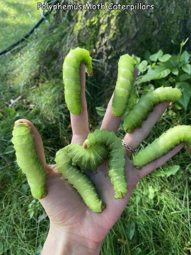 Interesting Pictures with Captions #168 (20 photos)