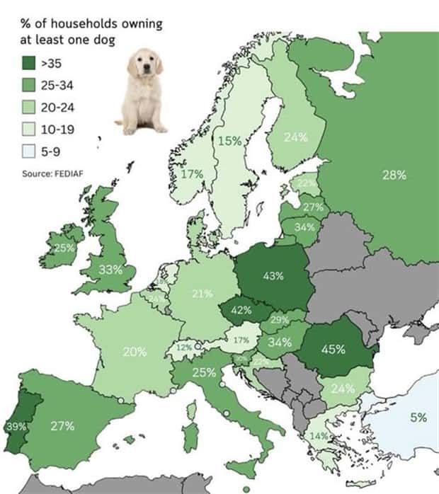 Charts and Maps with Intriguing Data #171 (19 photos)