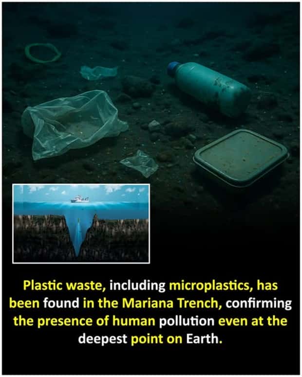 Cool and Interesting Facts #443 (24 photos)