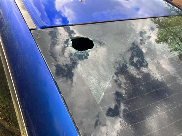 Shit Happens Regularly, Get Used To It #343 (24 photos)