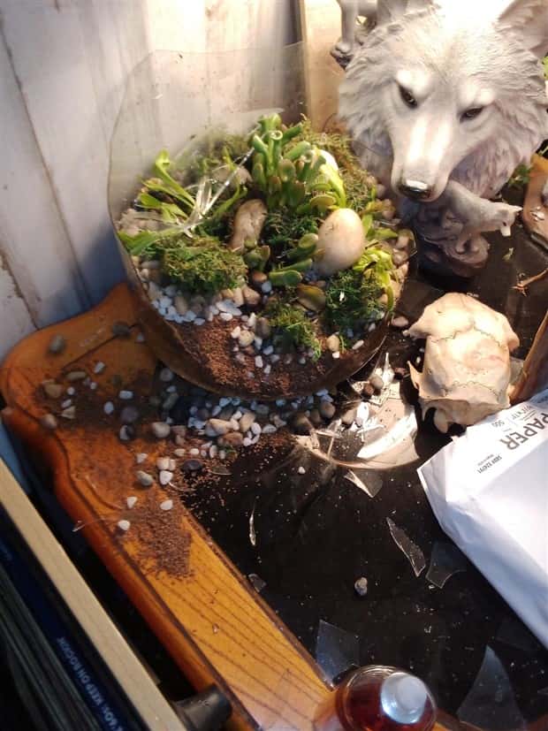 Shit Happens Regularly, Get Used To It #343 (24 photos)