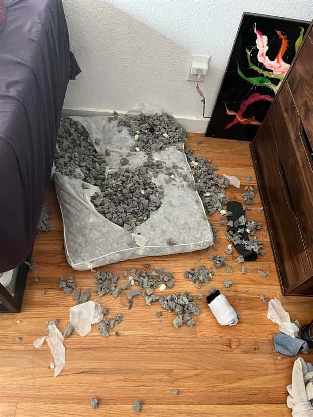 shit happens 20 Shit Happens Regularly, Get Used To It #340 (26 photos)