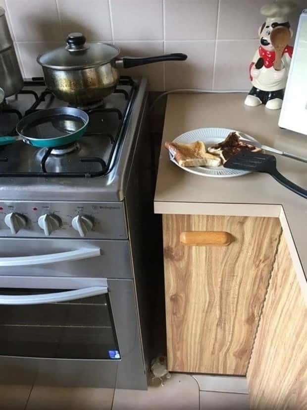 Shit Happens Regularly, Get Used To It #343 (24 photos)