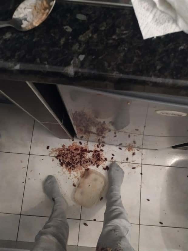 shit happens 25 Shit Happens Regularly, Get Used To It #340 (26 photos)