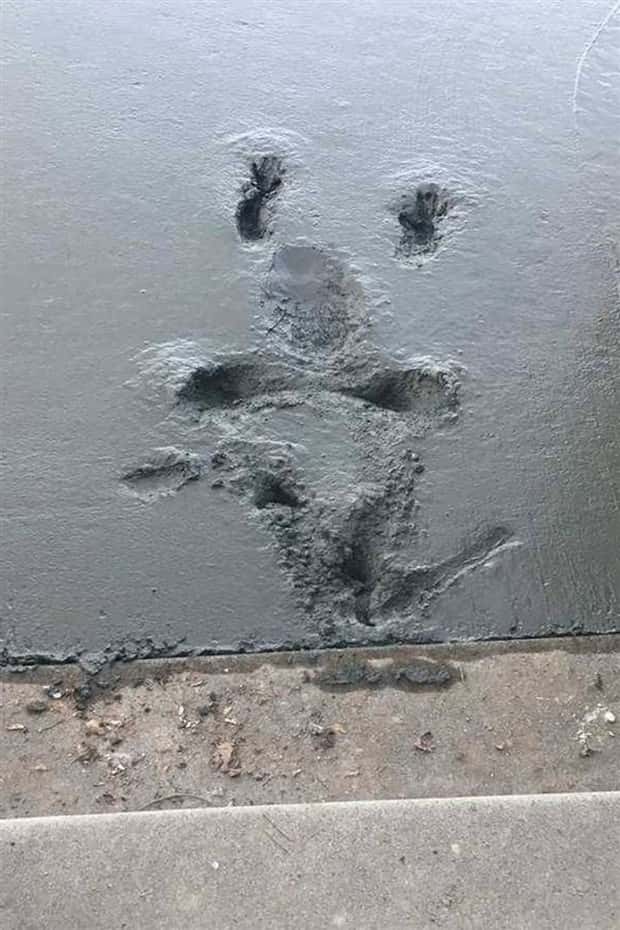 shit happens 26 Shit Happens Regularly, Get Used To It #340 (26 photos)