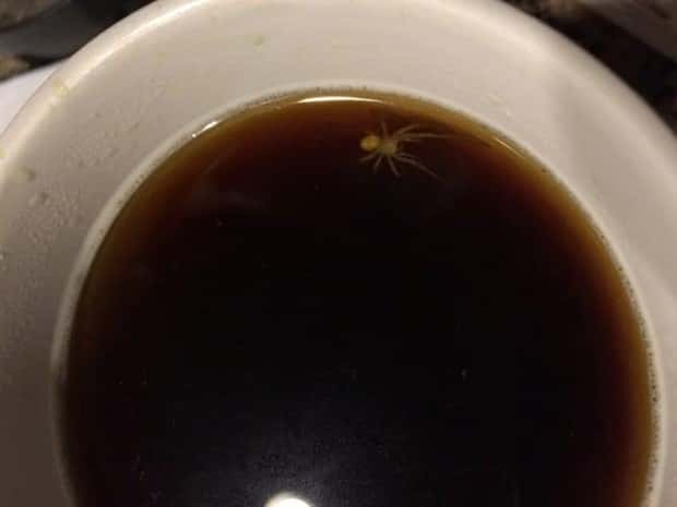 Shit Happens Regularly, Get Used To It #343 (24 photos)