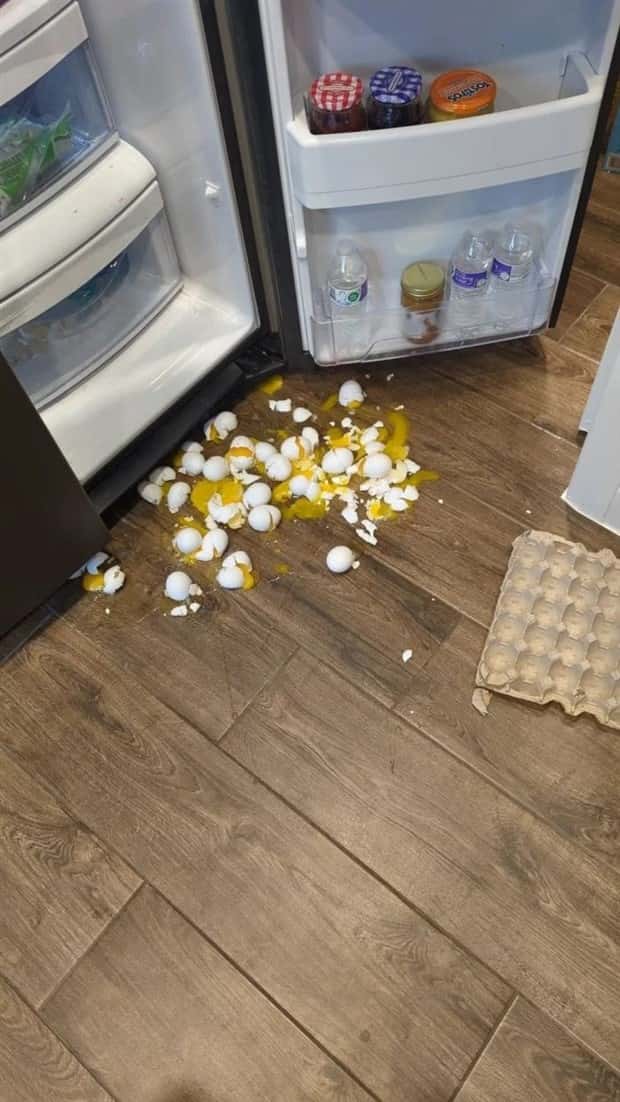 shit happens 9 Shit Happens Regularly, Get Used To It #340 (26 photos)