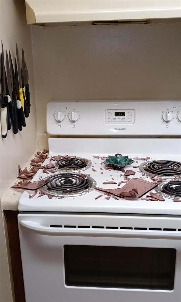 Shit Happens Regularly, Get Used To It #342 (20 photos)