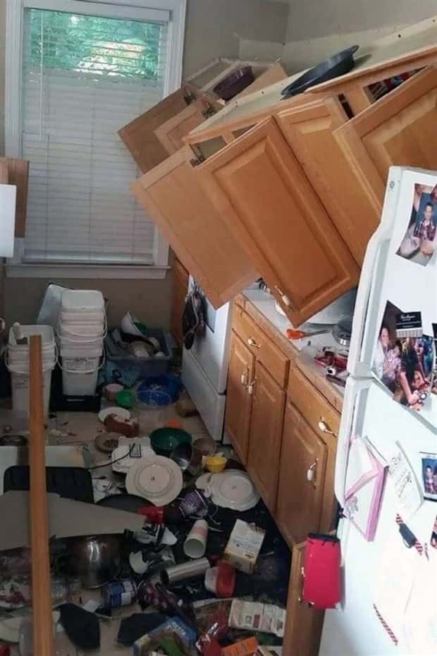 Shit Happens Regularly, Get Used To It #342 (20 photos)