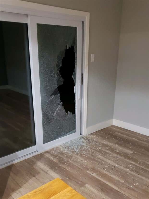 Shit Happens Regularly, Get Used To It #342 (20 photos)