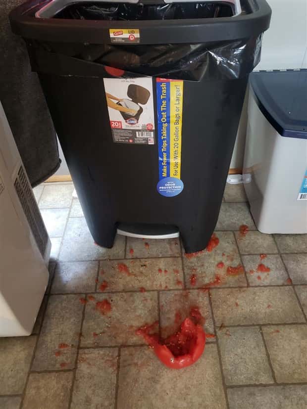 Shit Happens Regularly, Get Used To It #342 (20 photos)