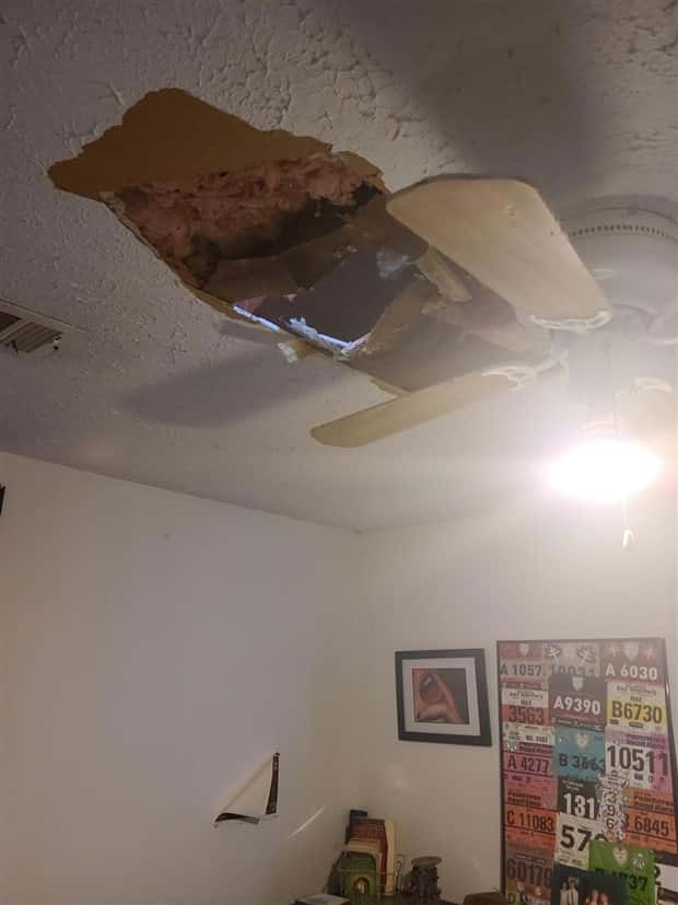 Shit Happens Regularly, Get Used To It #342 (20 photos)