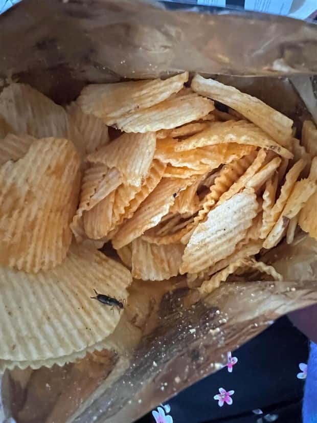 Shit Happens Regularly, Get Used To It #342 (20 photos)