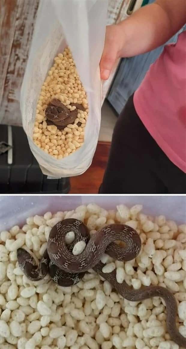 Shit Happens Regularly, Get Used To It #342 (20 photos)