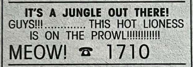 Vintage Personal Ads Are Quite Something (23 photos)