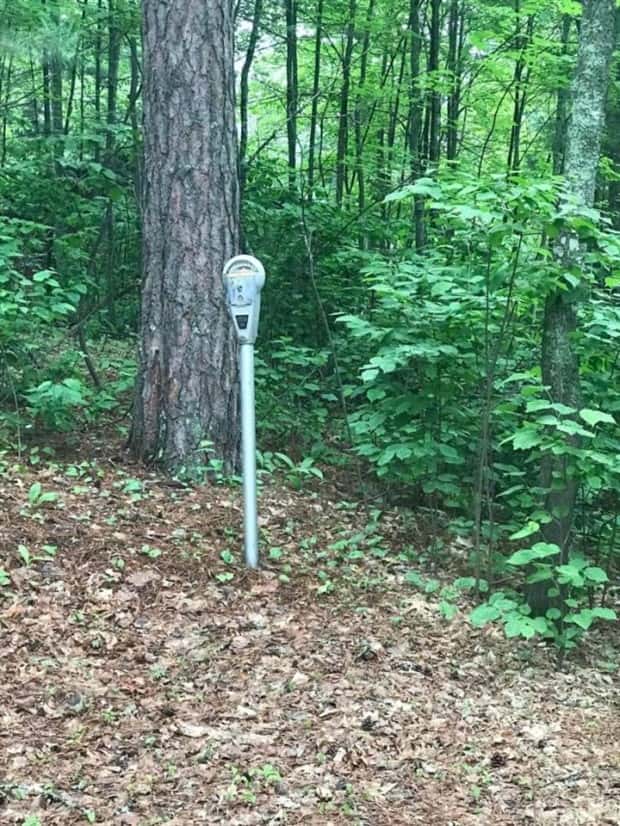 Welcome to the Weird Side of the Internet #199 (21 photos)