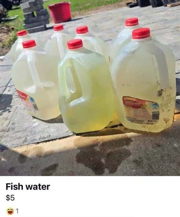 Wild Online Listings That Make No Sense (27 photos)