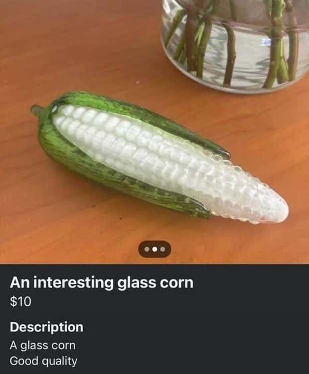 Wild Online Listings That Make No Sense (27 photos)