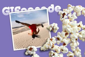Amusing GIF Parade CLIV