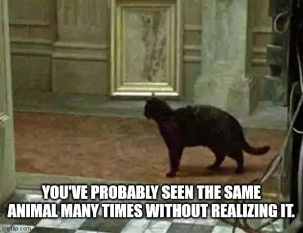 amusing shower thoughts 1 Funny Shower Thoughts That Sound Smart #172 (22 photos)