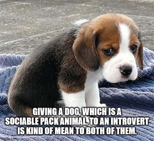 amusing shower thoughts 6 Funny Shower Thoughts That Sound Smart #172 (22 photos)