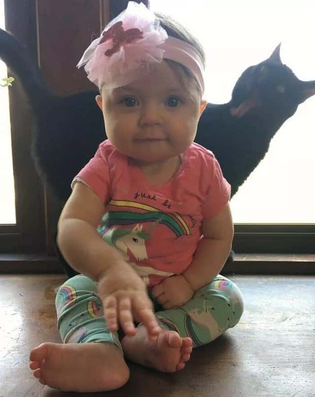 Animals Photobombing Like Total Pros (23 photos)