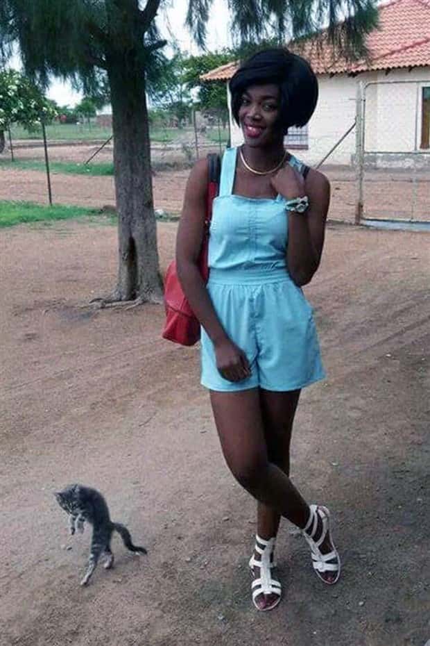 Animals Photobombing Like Total Pros (23 photos)