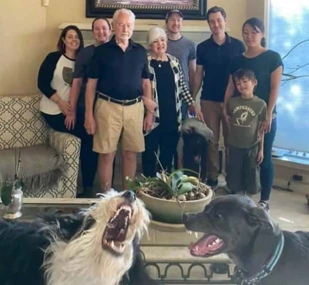 Animals Photobombing Like Total Pros (23 photos)