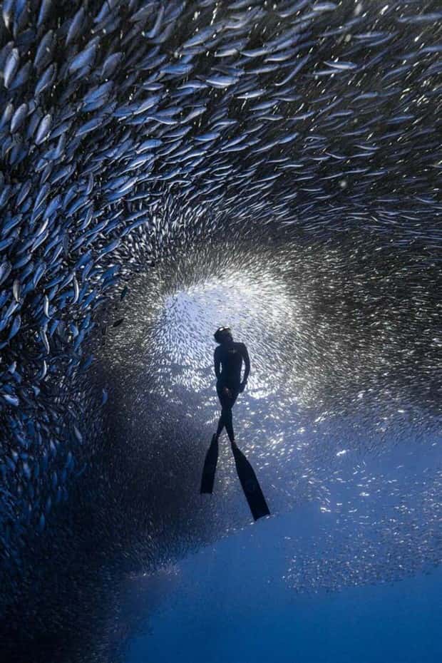 awesome photos 20 Awesome Pictures You Shouldn’t Miss #171 (20 photos)