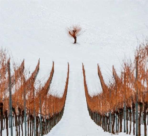 awesome photos 3 Awesome Pictures You Shouldn’t Miss #171 (20 photos)