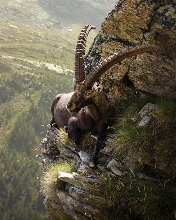awesome photos 9 Awesome Pictures You Shouldn’t Miss #171 (20 photos)
