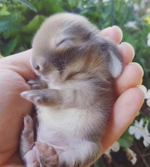 Awesome Pictures You Shouldn’t Miss #170 (25 photos)