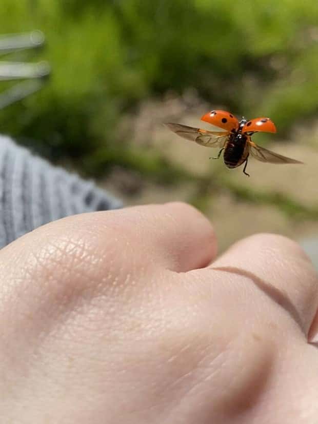 Awesome Pictures You Shouldn’t Miss #172 (23 photos)