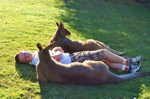 Awesome Pictures You Shouldn’t Miss #170 (25 photos)