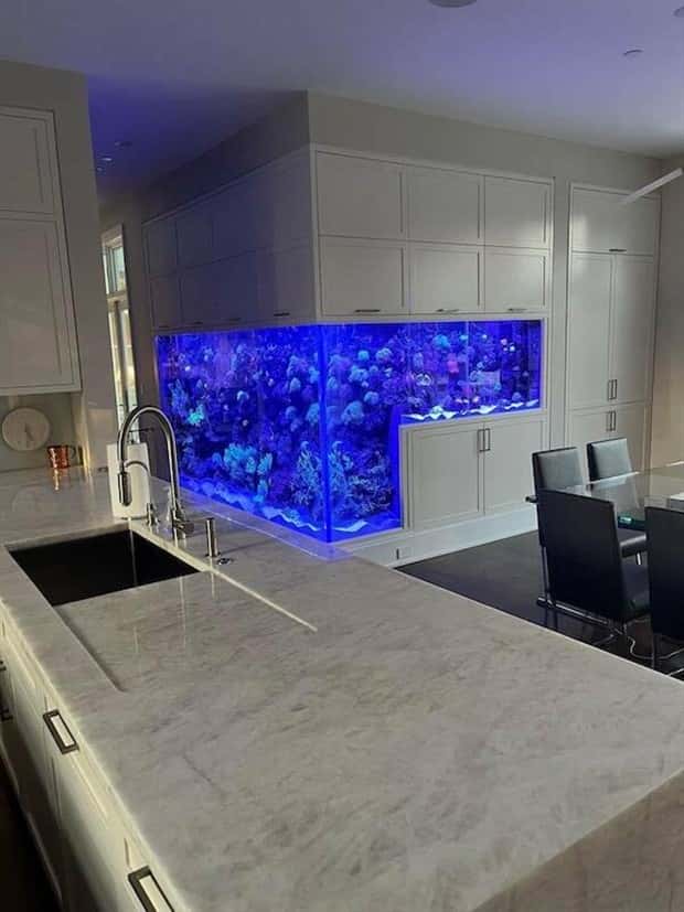 Awesome Pictures You Shouldn’t Miss #168 (26 photos)