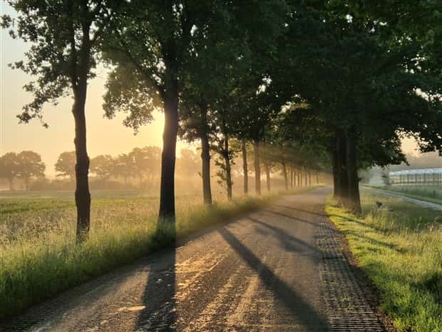 Awesome Pictures You Shouldn’t Miss #170 (25 photos)