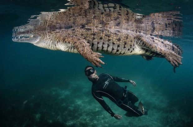 Awesome Pictures You Shouldn’t Miss #172 (23 photos)