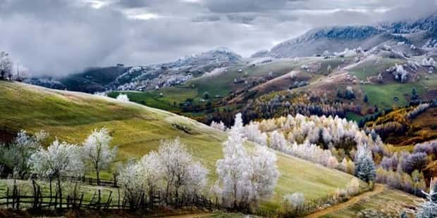 Awesome Pictures You Shouldn’t Miss #170 (25 photos)