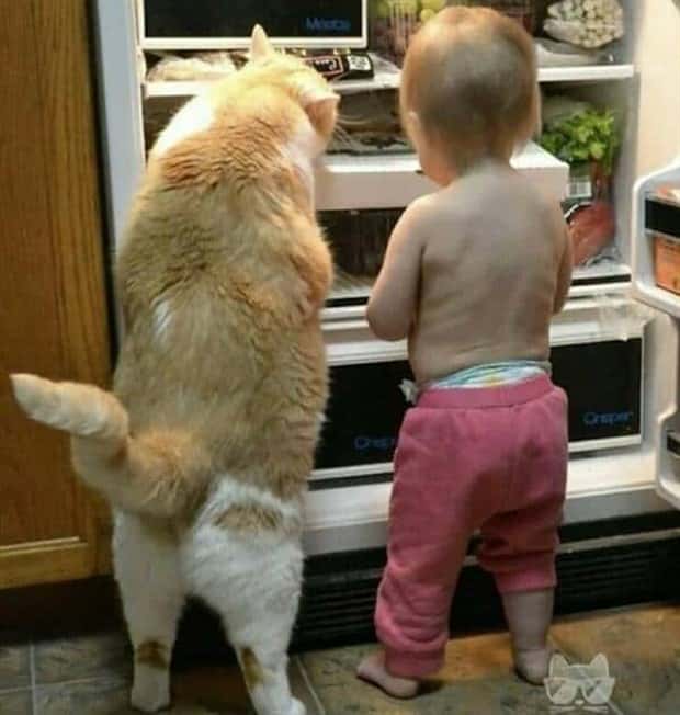 Awesome Pictures You Shouldn’t Miss #168 (26 photos)