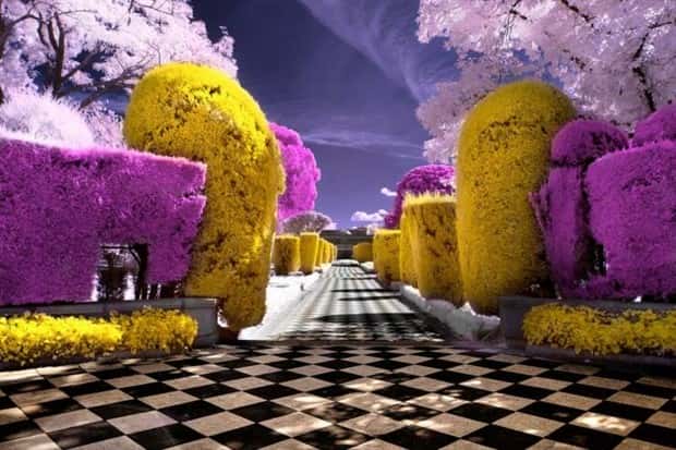 awesome pictures 21 1 Awesome Pictures You Shouldn’t Miss #169 (24 photos)