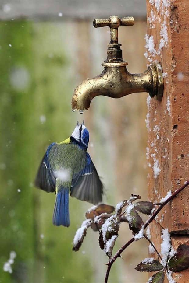 Awesome Pictures You Shouldn’t Miss #172 (23 photos)