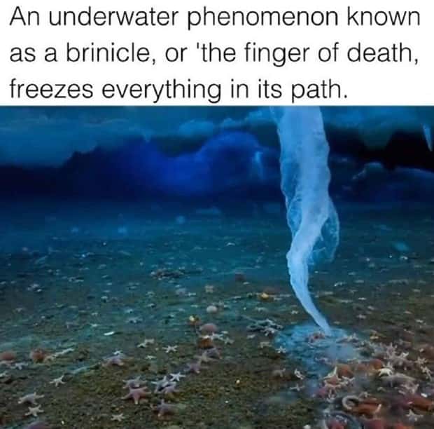 captivating images 1 Captivating Images That Show Life Differently (28 photos)