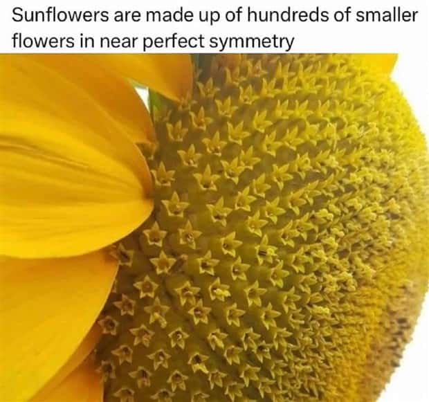 captivating images 18 Captivating Images That Show Life Differently (28 photos)