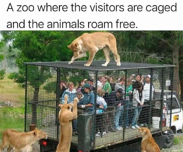 captivating images 21 Captivating Images That Show Life Differently (28 photos)