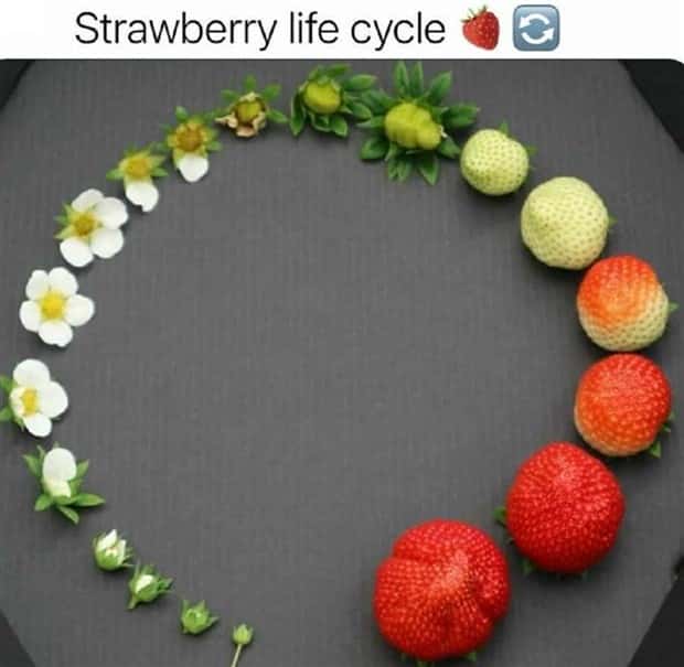 captivating images 8 Captivating Images That Show Life Differently (28 photos)