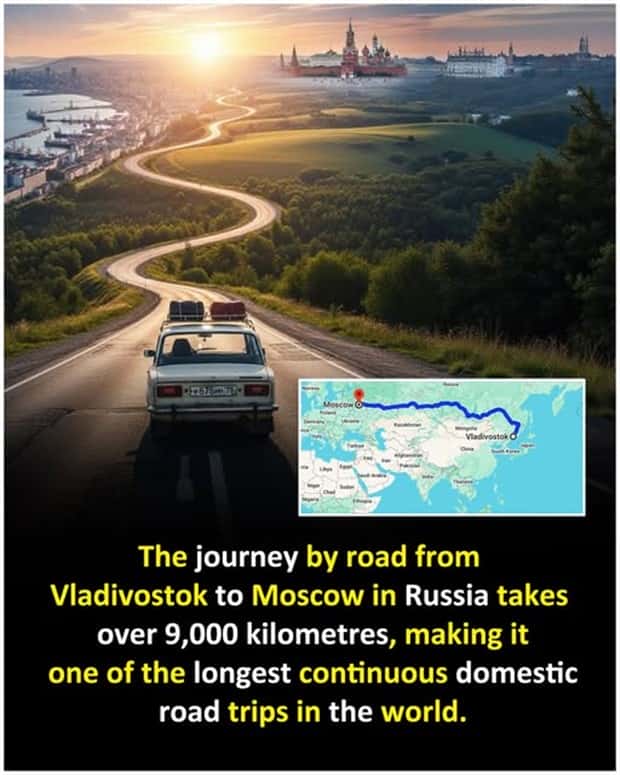 Cool and Interesting Facts #447 (25 photos)